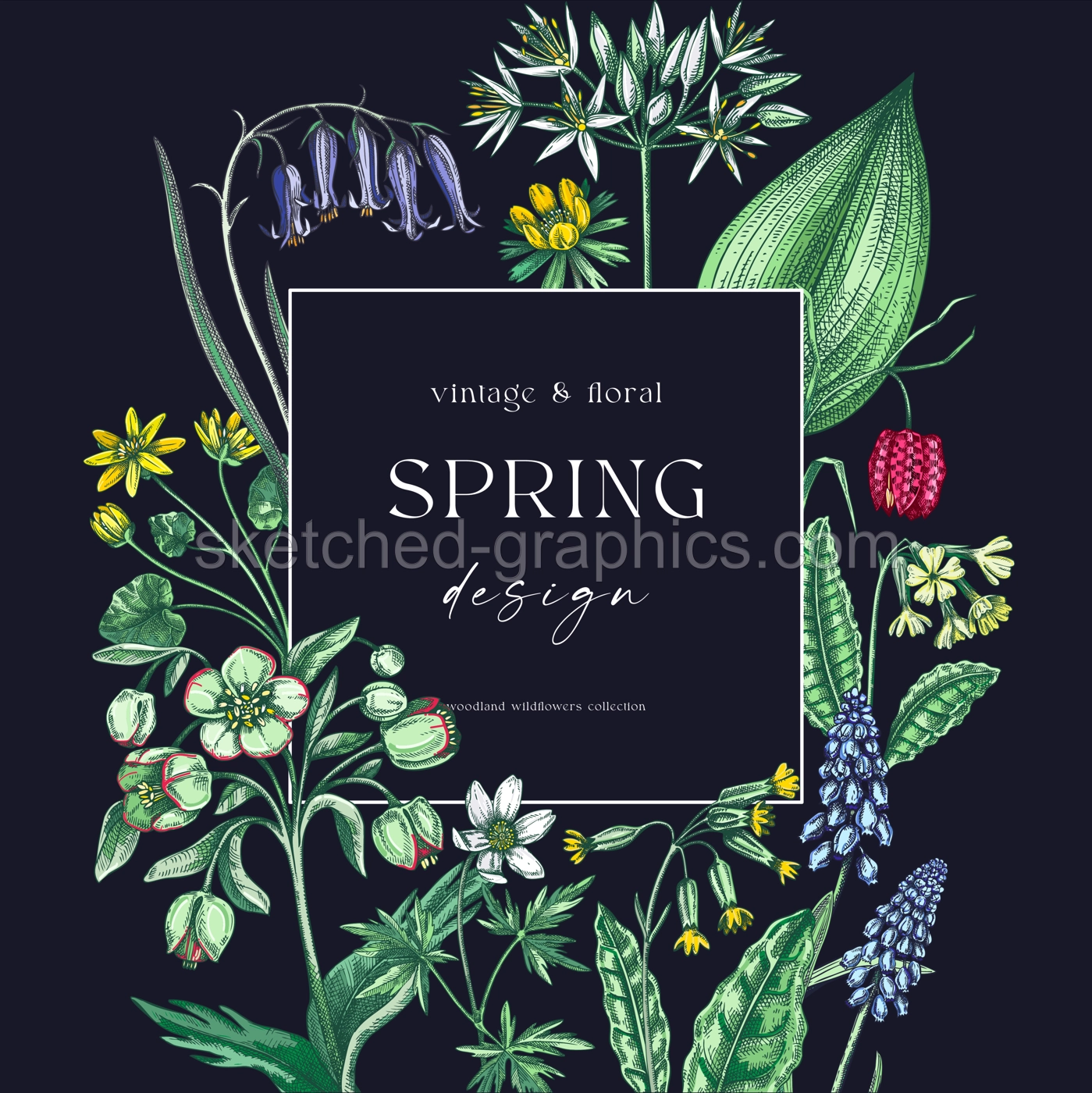 Spring wreath design. Wildflower sketches Floral cards, wedding invitations, wild flower background. Hand-drawn vector illustration, NOT AI-generated Illustration